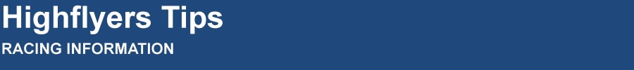 Highflyers Tips logo